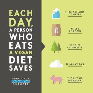 Image result for meatless monday